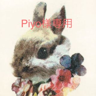 パラビオン(Par Avion)のpiyo様 専用(ひざ丈ワンピース)