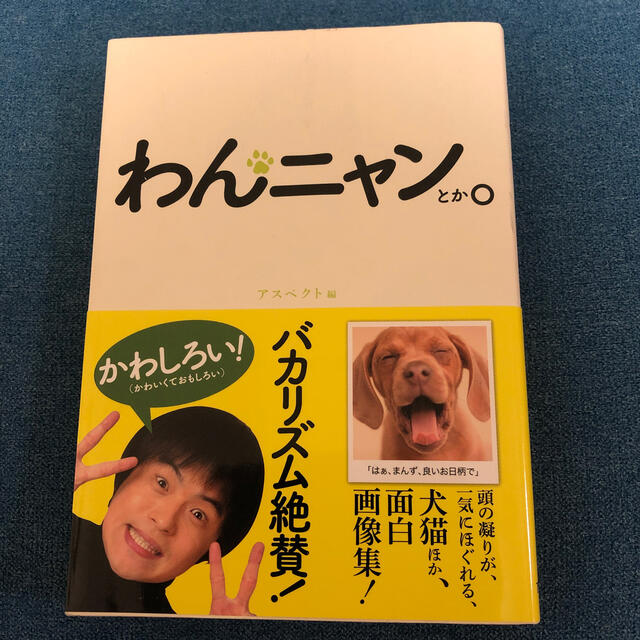 わんニャンとか。 犬猫ほか、面白画像集 エンタメ/ホビーの本(アート/エンタメ)の商品写真