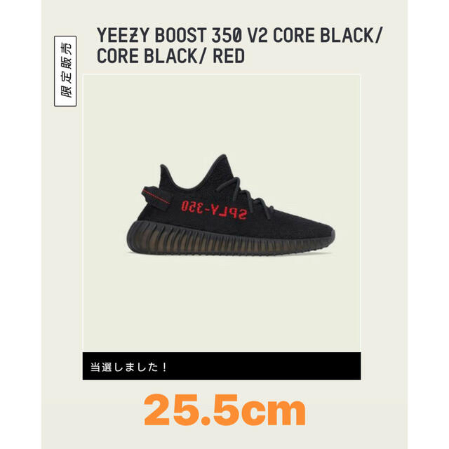 adidas(アディダス)のYEEZY BOOST 350 V2 メンズの靴/シューズ(スニーカー)の商品写真