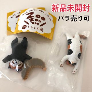 タカラトミーアーツ(T-ARTS)のもうしら寝 レッサーパンダ ネコ ガチャガチャ(その他)