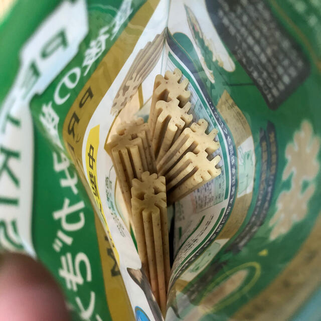 買い誠実 ライオン おやつ 6本入り 歯磨き プレミアム 犬 小型犬用 食後の歯みがきガム 関東当日便