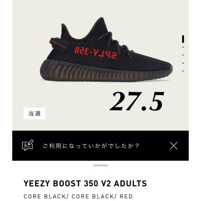 adidas(アディダス)のYEEZY BOOST 350 V2 ADULTS メンズの靴/シューズ(スニーカー)の商品写真