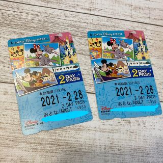 ディズニーリゾートライン　未使用　2days 切符　2枚(遊園地/テーマパーク)