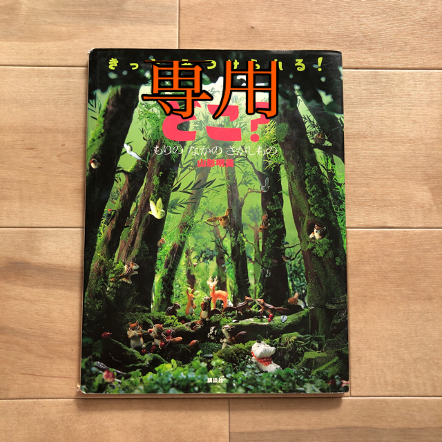 どこ？ きっとみつけられる！ もりのなかのさがしもの エンタメ/ホビーの本(絵本/児童書)の商品写真