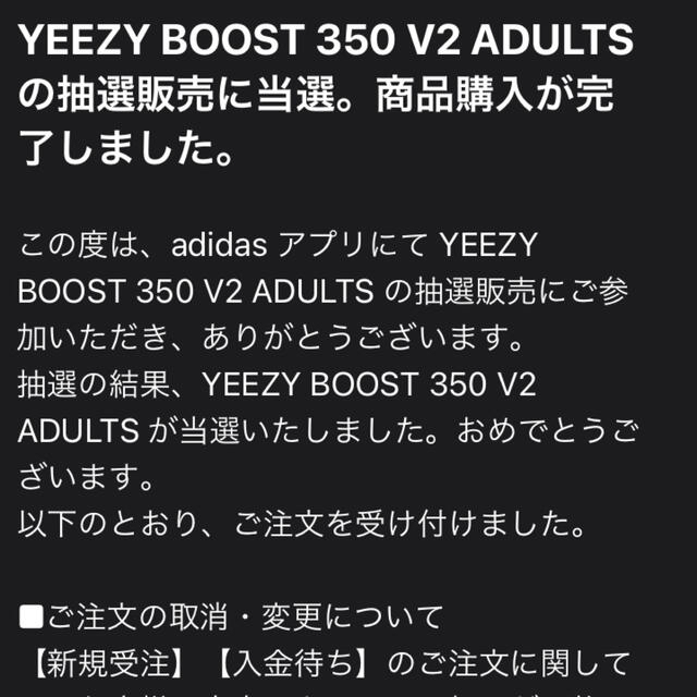 YEEZY BOOST 350 V2 コアブラック/コアブラック/レッド 1