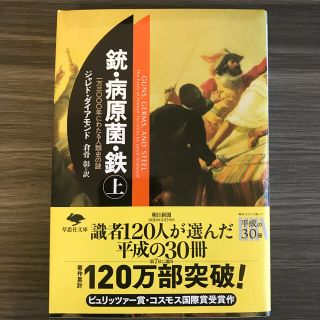 銃・病原菌・鉄 上巻(文学/小説)