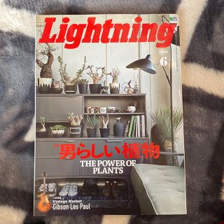 Lightning (ライトニング) 2018年 06月号(その他)