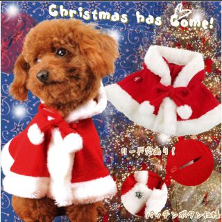 エアバルーン Sサイズ クリスマスマント 犬服 コスプレ クリスマス イベント(犬)