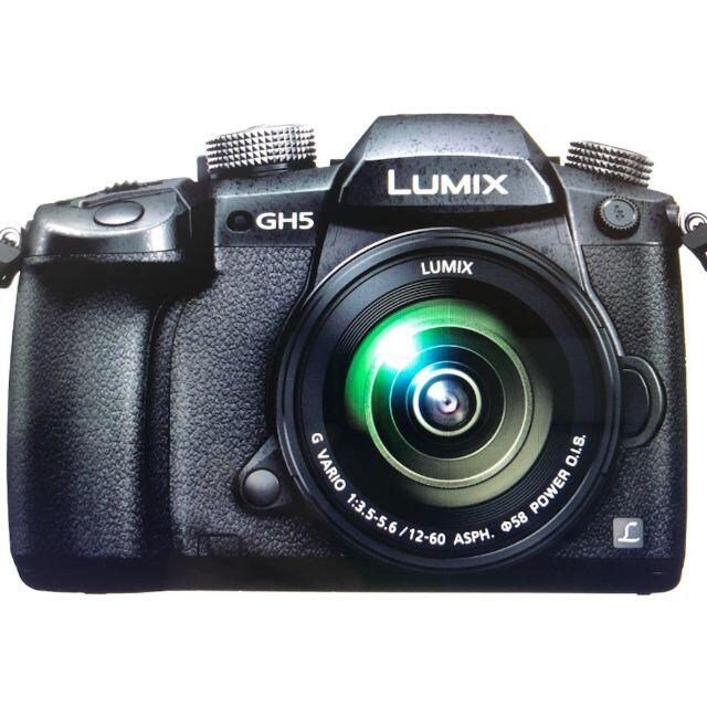 2033万画素撮像素子■LUMIX DC-GH5M 標準ズームレンズキット