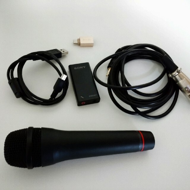 素晴らしい外見 SONY ECM-PCV80U agapeeurope.org