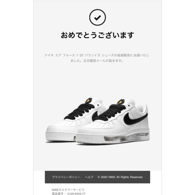 NIKE G-DRAGON ナイキエアフォース1  パラノイズ  27.5センチ