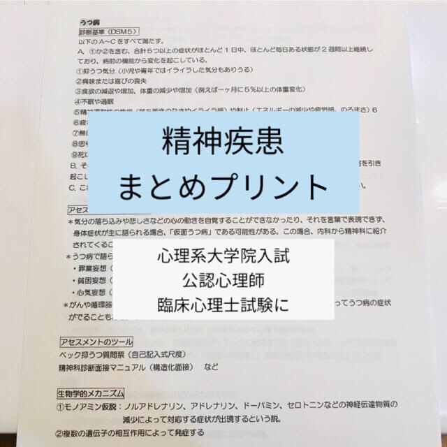 精神疾患まとめプリント、人物名と重要事項暗記カードセット エンタメ/ホビーの本(語学/参考書)の商品写真