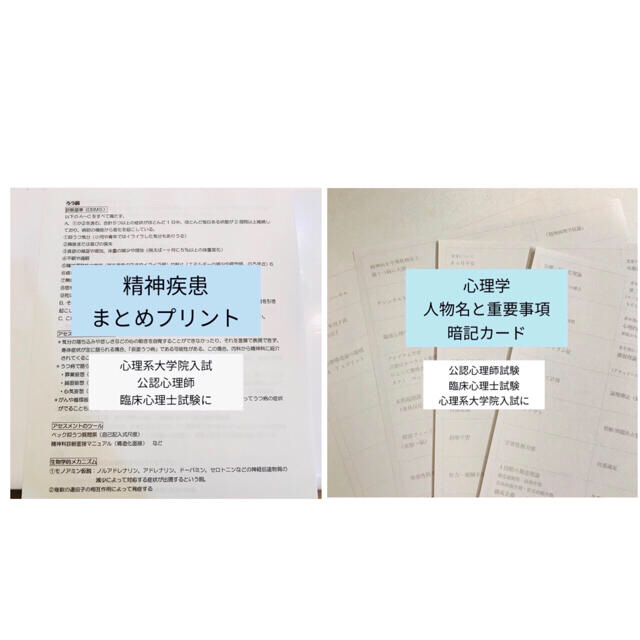 精神疾患まとめプリント、人物名と重要事項暗記カードセット エンタメ/ホビーの本(語学/参考書)の商品写真