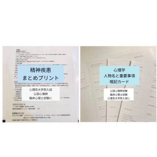 精神疾患まとめプリント、人物名と重要事項暗記カードセット(語学/参考書)