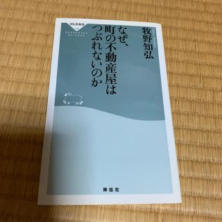 なぜ、町の不動産屋はつぶれないのか(文学/小説)