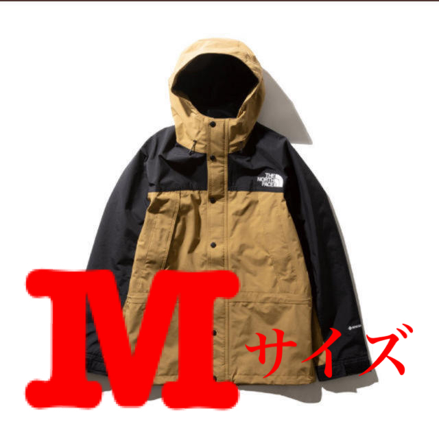 The North Face Mountain Light  Jacket