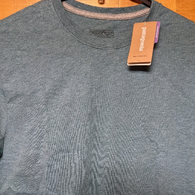 patagonia(パタゴニア)のpatagonia　Tシャツ　 メンズのトップス(Tシャツ/カットソー(半袖/袖なし))の商品写真