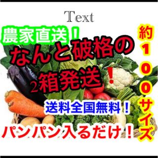 約破格❗️100サイズ2箱発送❗️農家直送野菜詰め合わせ送料全国無料❗️(野菜)