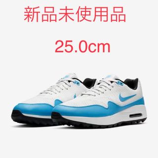 【超超レア・美品】 NIKE AIR MAX 1 G ナイキ マックス 25cm