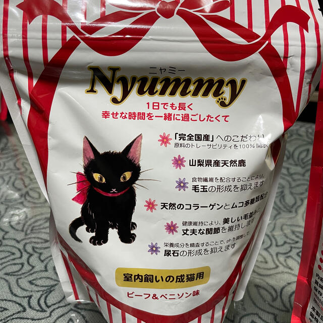 Nyummy 猫株式会社 その他のペット用品(猫)の商品写真