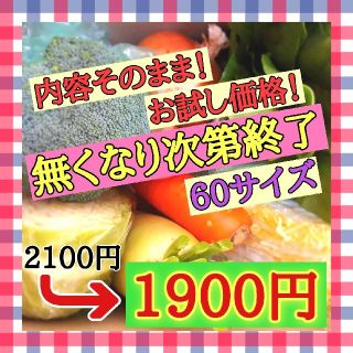 【数量限定】厳選野菜詰め合わせ60サイズNo.2(野菜)