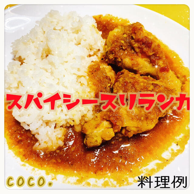 ⭐️Curry Powder  カレーパウダー カレー粉 50g  スリランカ 食品/飲料/酒の食品(調味料)の商品写真