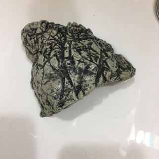 アヌビアス活着済み流木モス(アーチ状)ミクロソリウム、アヌビアスナナ(アクアリウム)