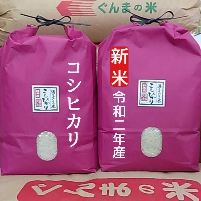 新米セール！令和2年産！新米！ 極上コシヒカリ！ 精米or無洗米！食品