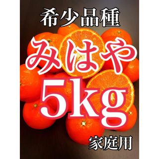 最終✨希少品種　みはや　ミカン　箱込み5キロ　家庭用(フルーツ)