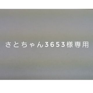 さとちゃん3653様専用(その他)