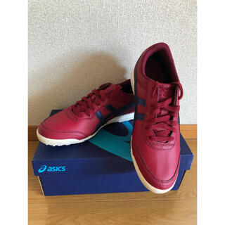 アシックス(asics)の専用 新品未使用 アシックスasics ゴルフシューズ 25cm(シューズ)