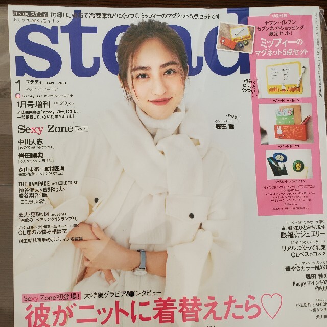 宝島社(タカラジマシャ)のsteady. エンタメ/ホビーの雑誌(ファッション)の商品写真