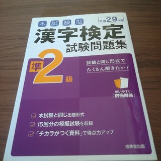 本試験型漢字検定準２級試験問題集 平成２９年版(資格/検定)