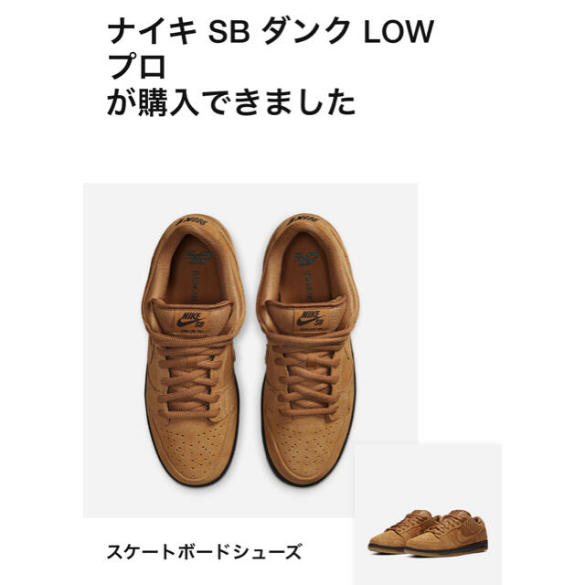 新品 NIKE SB DUNK LOW PRO WHEAT MOCHA 27