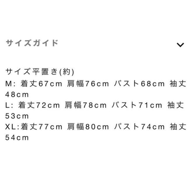 MIRROR9 アイコンニットフーディ グレー L | zhpk.kz