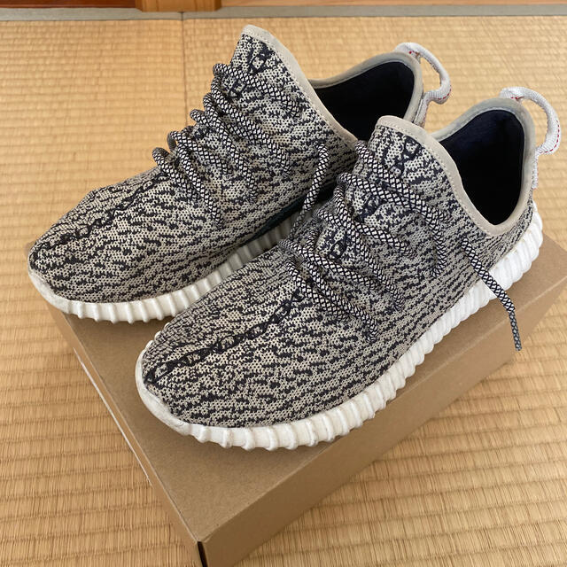 yeezy turtle dove