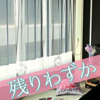 レディー(Rady)のかおりん♡様、専用(カーテン)