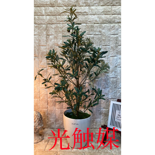 半額sale 光触媒 人工観葉植物 ウォールグリーン 造花 インテリア オリーブ100 置物 Acte Paris Org 半額sale 光触媒 人工観葉植物 ウォールグリーン 造花 インテリア オリーブ100 置物 Acte Paris Org