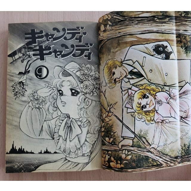 新品】 キャンディキャンディ①〜⑨巻 少女漫画 - brondbygolf.dk