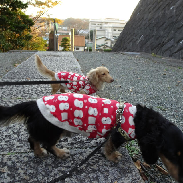 Sサイズ限定 着丈33センチまで 雪だるま メルロコ ダックス 犬服の通販 By ミニチュアダックス メルロコ一家の横須賀ストーリー ラクマ Sサイズ限定 着丈33センチまで 雪だるま メルロコ ダックス 犬服の通販 By ミニチュアダックス メルロコ一家の横須賀ストーリー ラクマ