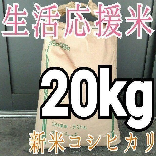 無洗米OK　白米　精米料込み　令和2年　20kg　埼玉県産　新米　コシヒカリ　米/穀物