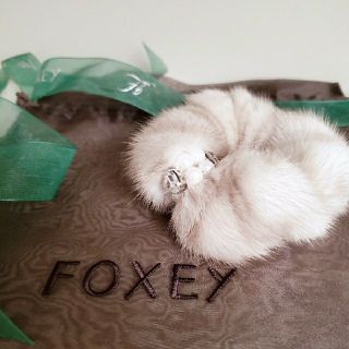 フォクシー(FOXEY)のFOXEY　ノベルティー♡(ノベルティグッズ)