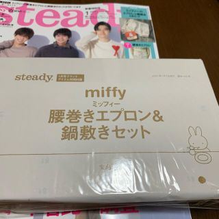 タカラジマシャ(宝島社)の【付録のみ】steady 2021年1月号　新春特別号(その他)