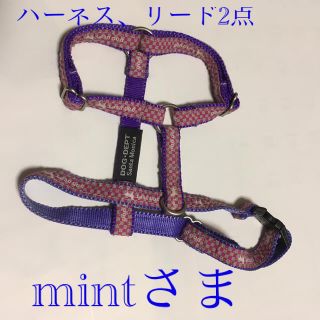 ドッグデプト(DOG DEPT)のドッグデプト　ハーネス、リード2点(犬)