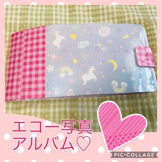 エコー写真アルバム(アルバム)