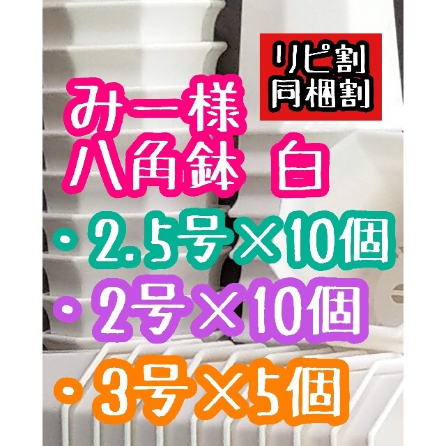 みー様 八角鉢 ハンドメイドのフラワー/ガーデン(その他)の商品写真