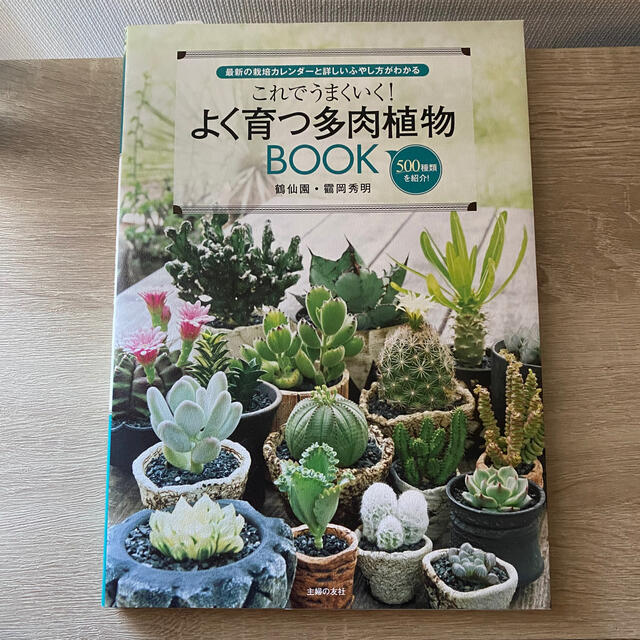 これでうまくいく!よく育つ多肉植物BOOK 最新の栽培カレンダーと詳しいふやし… エンタメ/ホビーの本(趣味/スポーツ/実用)の商品写真