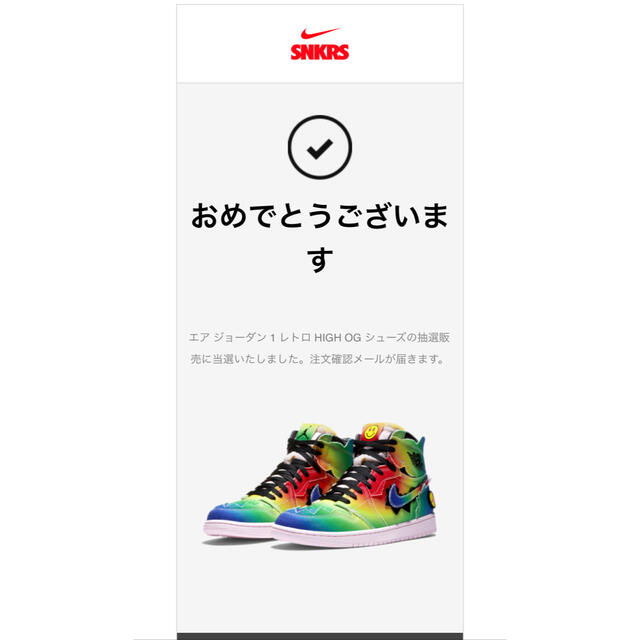 NIKE  air  jordan 1 J Balvin 28cm  aj 1新品SNKRSにて購入