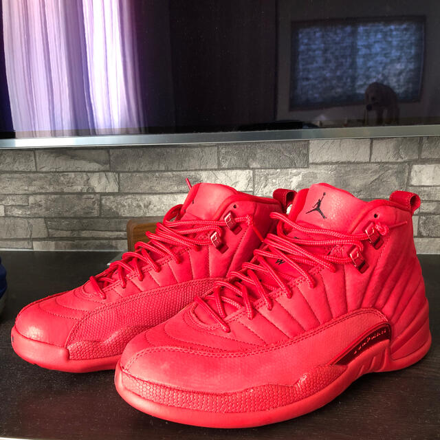 Nike air jordan12