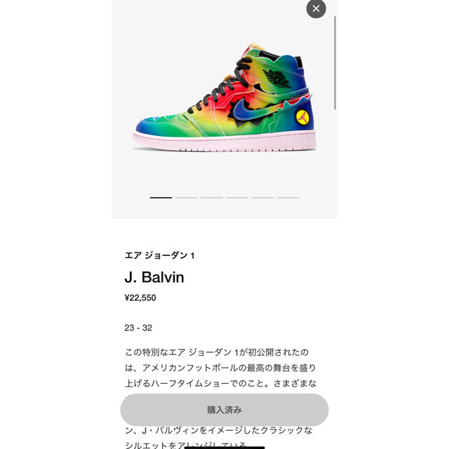 NIKE エアジョーダン　1  26.0